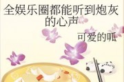 娱乐吃瓜酱酸菜的小说,揭秘娱乐圈背后的酸甜苦辣